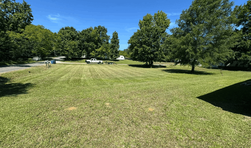 Lawn Maintenance